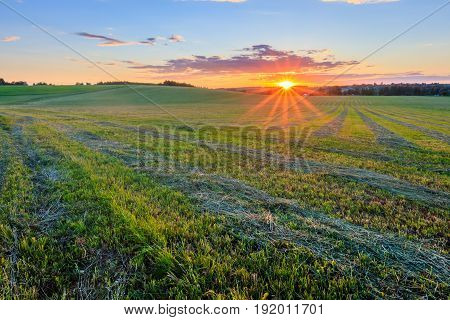 Sunset At Cultivated Land In The Countryside On A Summer.