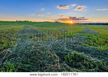 Sunset At Cultivated Land In The Countryside On A Summer.