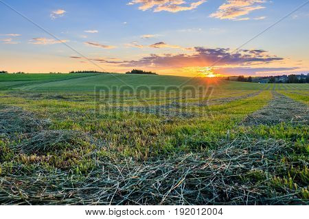 Sunset At Cultivated Land In The Countryside On A Summer.