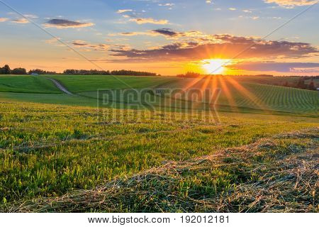 Sunset At Cultivated Land In The Countryside On A Summer.