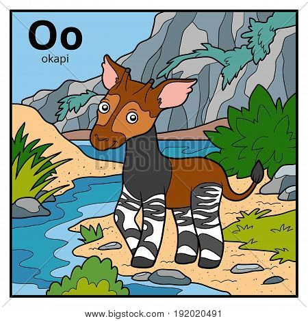 Color Alphabet For Children, Letter O (okapi)