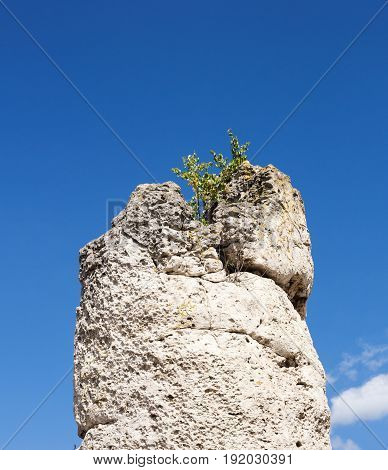 Column of unique natural phenomenon 