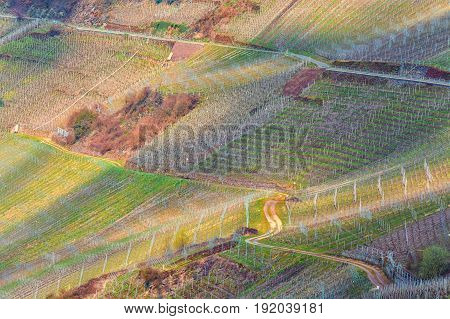 Winding Road through the vineyards on the Mosel in Germany.