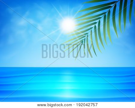 Tropical beach with palm leaf, smoot ocean water, clouds and sun. Summer exotic background