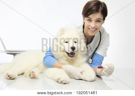 smiling veterinarian with dog in vet clinic blood exam