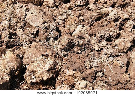Texture of the dug up land in the garden