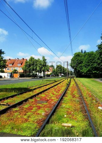 Railroad track in colorful summer with a beautiful sky