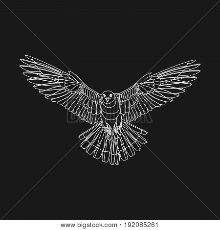 realistic eagle soaring eagle catching prey a symbol of freedom image