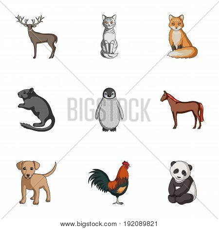 Deer, tiger, cow, cat, rooster, owl and other animal species.Animals set collection icons in cartoon style vector symbol stock illustration .
