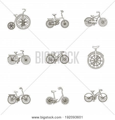 Collection of bikes with different wheels and frames. Different bikes for sport and walks.Different bicycle icon in set collection on outline style vector symbol stock web illustration.