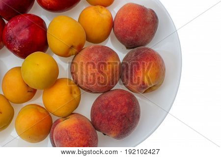 Peach, Nectarine And Apricot On White Plate