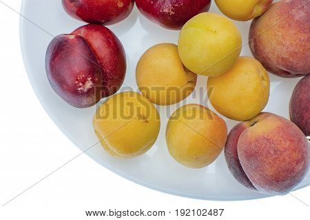Peach, Nectarine And Apricot On White Plate