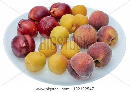 Peach, Nectarine And Apricot On White Plate