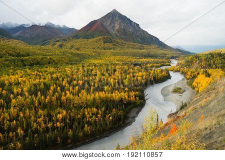 Matanuska River Flows Autumn Season Fall Color Alaska