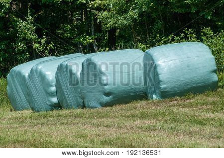 Row Of Plastic Wrapped Hay Bales On A Green Field