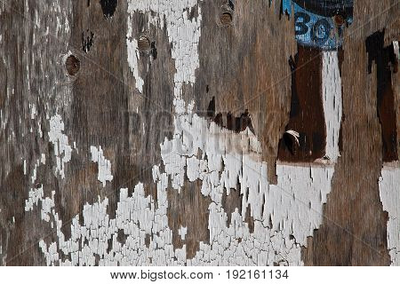Weathered Old Abandoned Peeling Cracked Painted Door