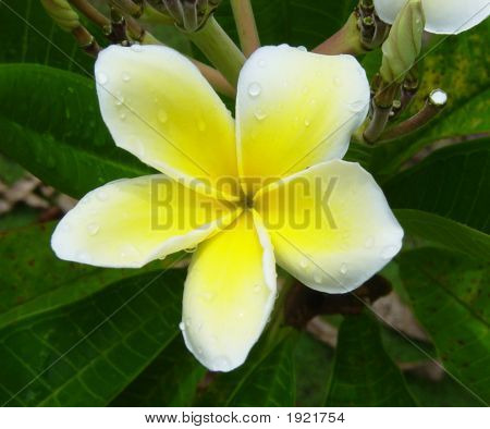 Punta_Cana