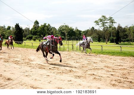 Jockey and horse taking the lead in a race