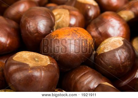 Conkers