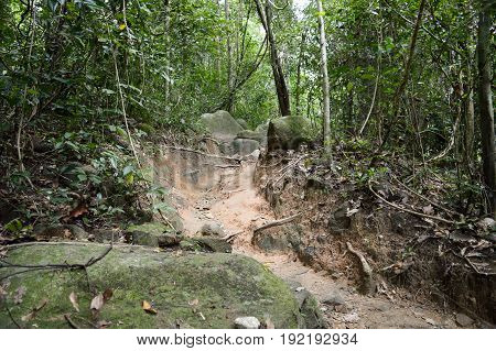 nature walkway in Khao Chamao , Rayong , Thailand