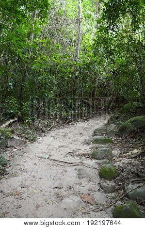 nature walkway in Khao Chamao , Rayong , Thailand