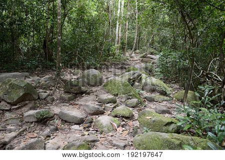 nature walkway in Khao Chamao , Rayong , Thailand