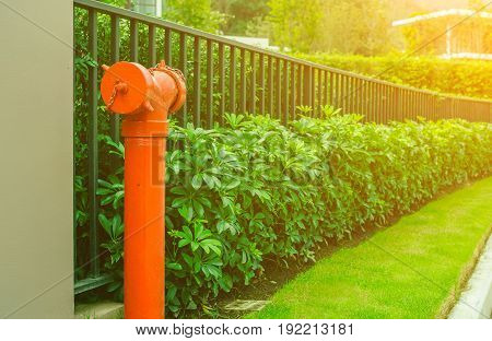 Red fire hydrant with metal fence  plant exterior design