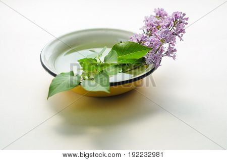 A Bouquet Of Fresh Purple Lilac In A Yellow Enameled Bowl