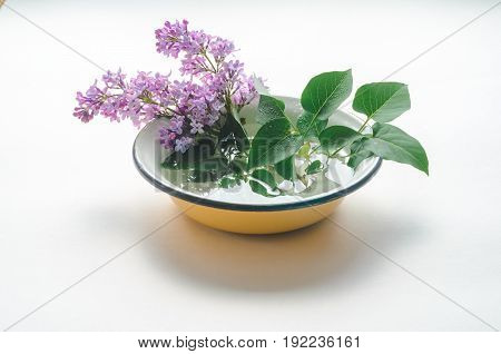 A bouquet of fresh purple lilac in a yellow enameled bowl on white background. Flowers in a vessel with water