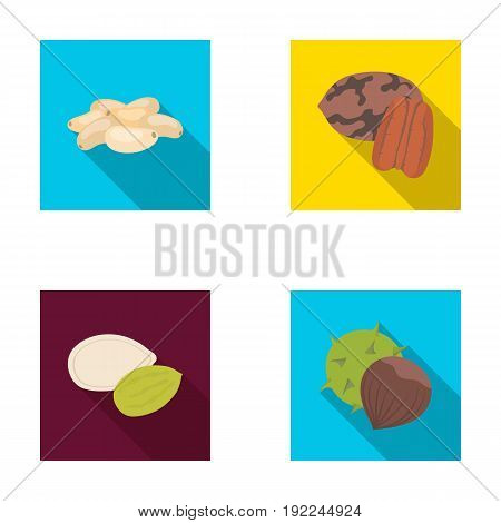 Pecan, pine nut, pumpkin seeds, chestnut.Different kinds of nuts set collection icons in flat style vector symbol stock illustration .