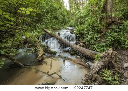 Roztocze (Roztochia) National Park. Cascades on Sopot river. Czartowe Pole (Devil's Field) reservation.