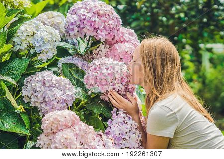 Young Woman On The Background Of Light Pink Hydrangea Blooming In The Garden