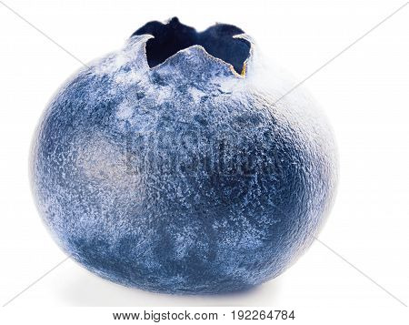 single blueberry isolated on white background. Ripe blueberry in back-to-side light, isolated with clipping path
