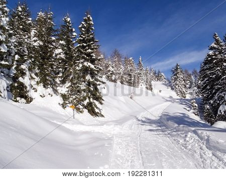 Val Blenio. Snowy Path