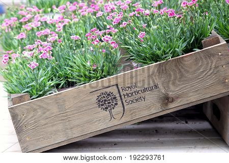Wisley, Surrey, Uk - April 30 2017: Box Of Pink Carnations Bearing The Emblem And Name Of The Royal
