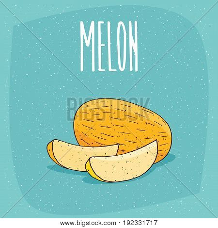 Isolated Ripe Melon Fruit And Cut Pieces