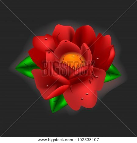 Bright vector illustration. Beautiful flower. Red peony