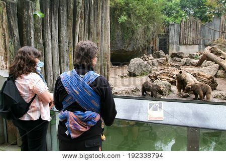 People Looking At Brown Bears In The Zoo Of Goldau