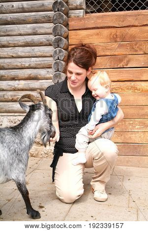Woman With Child Who Pat The Goat At The Zoo
