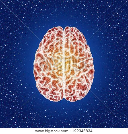 Human brain. Top view - vector stippled illustration