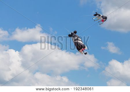 Kites Flying In A Blue Sky. Kites Of Various Shapes.