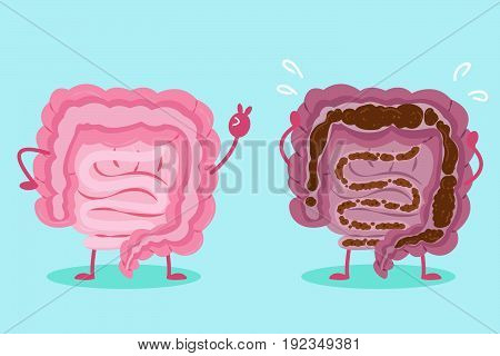 cute cartoon intestine with health concept on green background