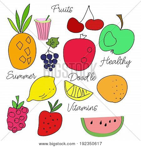 Vextor Set Of Doodle Summer Tropical Fruits. Colorful Illustration.