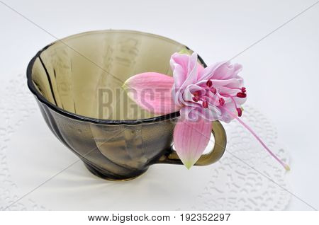 a few really nice flowers of fuchsia and black glass small Cup on a white Lacy napkin
