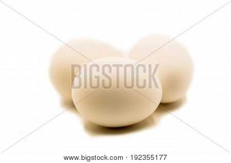 fresh brown eggs on the white background