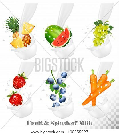 Set of different milk splashes with fruit nuts and berries. Watermelon grape carot strawberry blueberry pineapple. Vector Set.