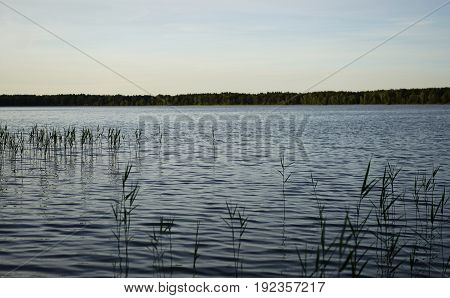 Landscape with a lake. Ukraine. Shatskie lakes.