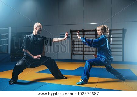 Male and female wushu fighters exercises indoor