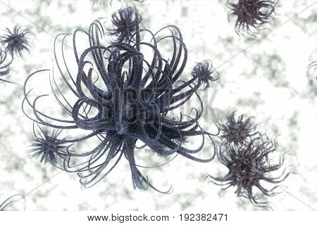 An Illustration Of The Zika Virus, Which Symptoms Include Mild Headaches, Maculopapular Rash, Fever,