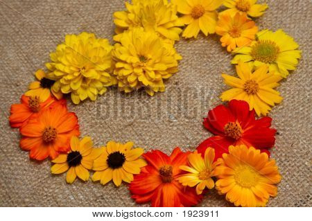 Blomster